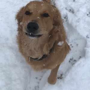 Meet your Posher, Mike